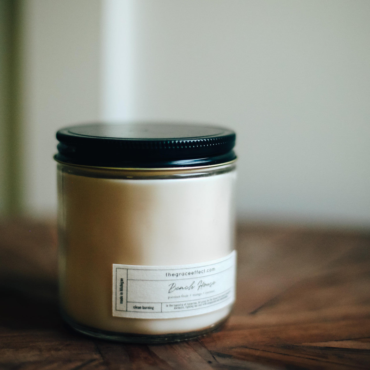 The Grace Effect, Beach House, Pineapple, Coconut, summer, fall, lake house, michigan, Down syndrome